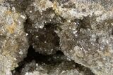 Herkimer Diamonds in Matrix - The Ace of Diamonds Mine, New York #324481-2